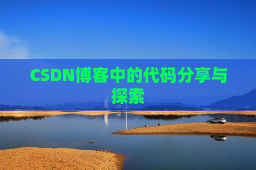 CSDN博客中的代码分享与探索
